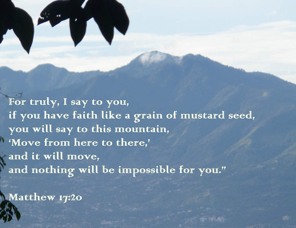He said to them, “Because of your little faith.  For truly, I say to you, if you have faith like a grain of mustard seed, you will say to this mountain, ‘Move from here to there,’ and it will move, and nothing will be impossible for you.” Matthew 17:20