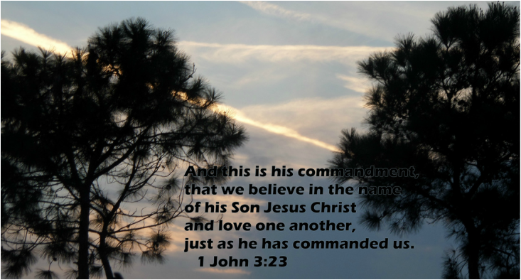 1 John 3:23