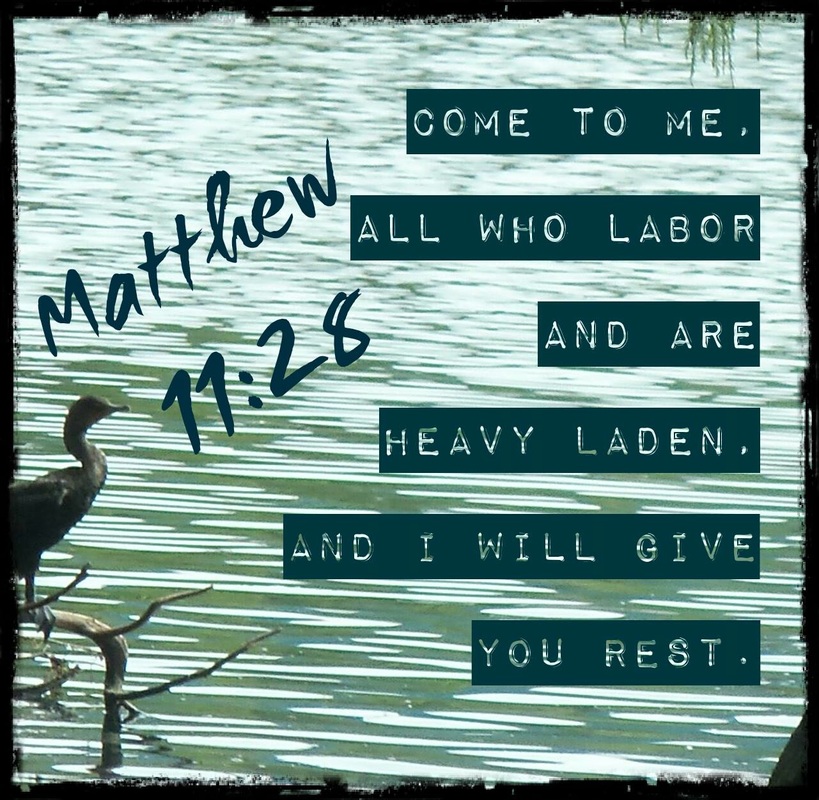 Come to me, all who labor and are heavy laden, and I will give you rest. Matthew 11:28 On Photo of Coon at Lakeside by Lani Campbell