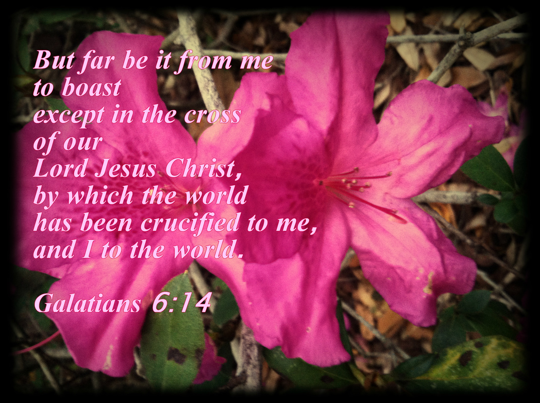 But far be it from me to boast except in the cross of our Lord Jesus Christ, by which the world has been crucified to me, and I to the world. Galatians 6:14