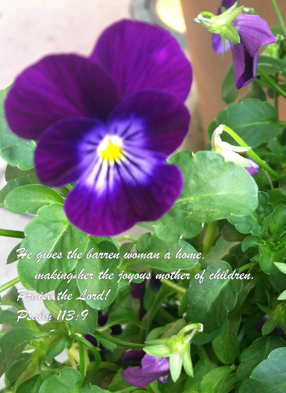 He gives the barren woman a home,     making her the joyous mother of children. Praise the Lord! Psalm 113:9 On photo of Pink and Purple Pansies by Donna Campbell