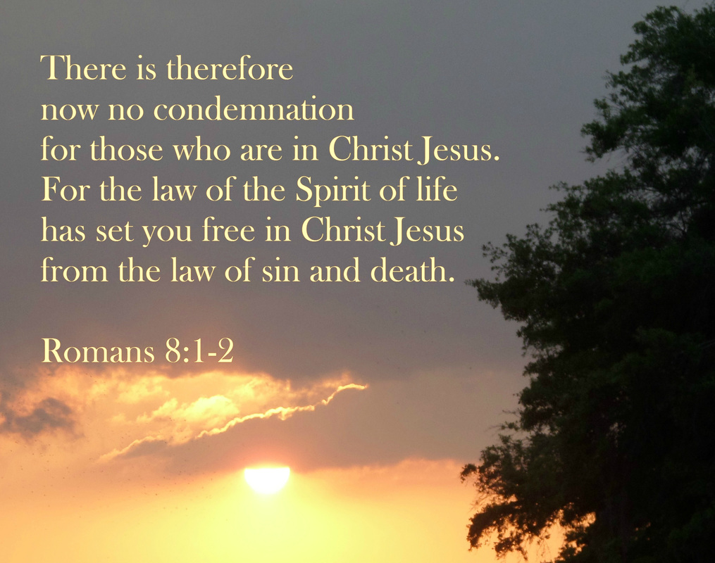 There is therefore now no condemnation for those who are in Christ Jesus. For the law of the Spirit of life has set you free in Christ Jesus from the law of sin and death.  Romans 8:1-2 on Photo o sunset and tree by Donna Campbell