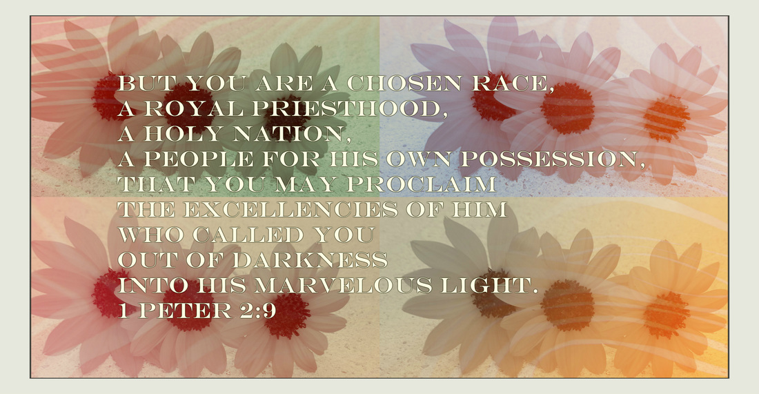 But you are a chosen race, a royal priesthood, a holy nation, a people for his own possession, that you may proclaim the excellencies of him who called you out of darkness into his marvelous light. 1 Peter 2:9