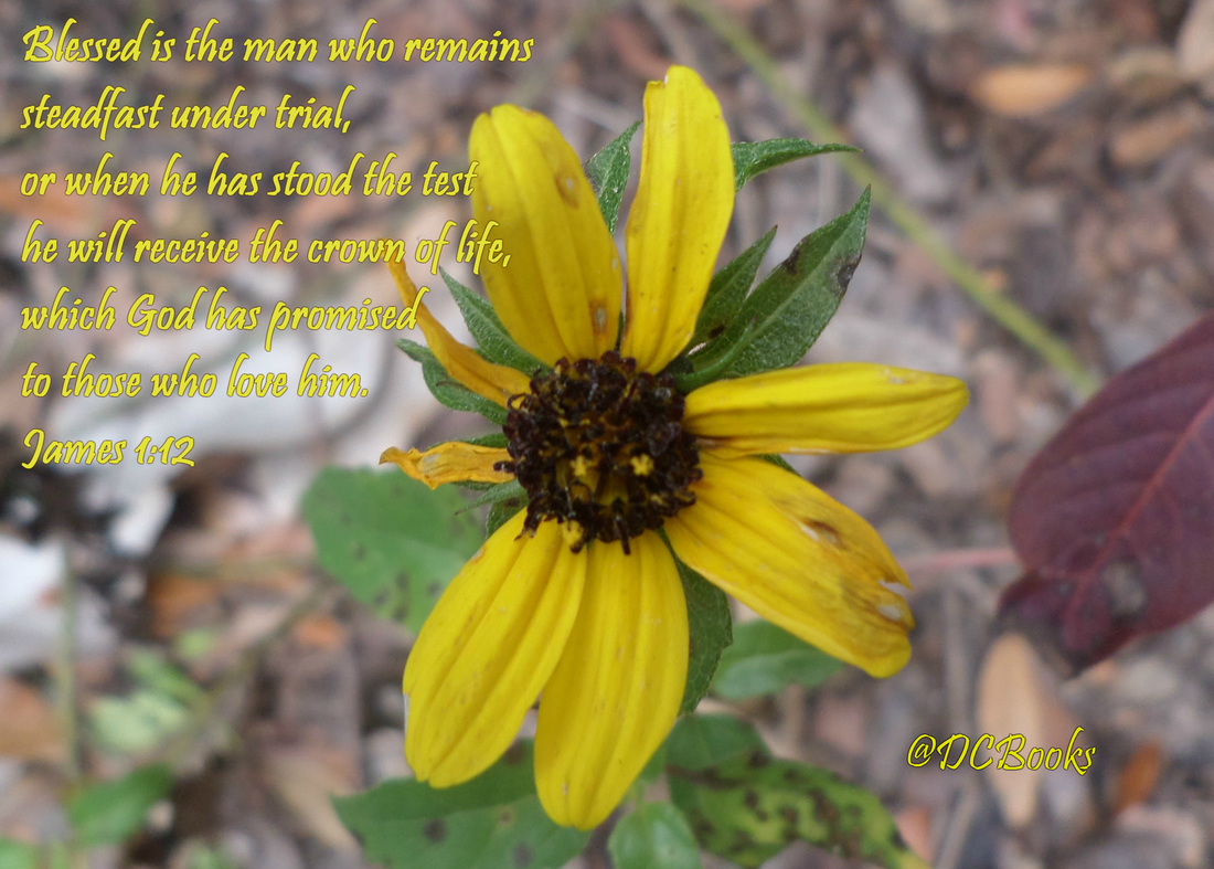 Blessed is the man who remains steadfast under trial, for when he has stood the test he will receive the crown of life, which God has promised to those who love him.  James 1:12 on photo of Tenacious Bush Sunflower by Donna Campbell