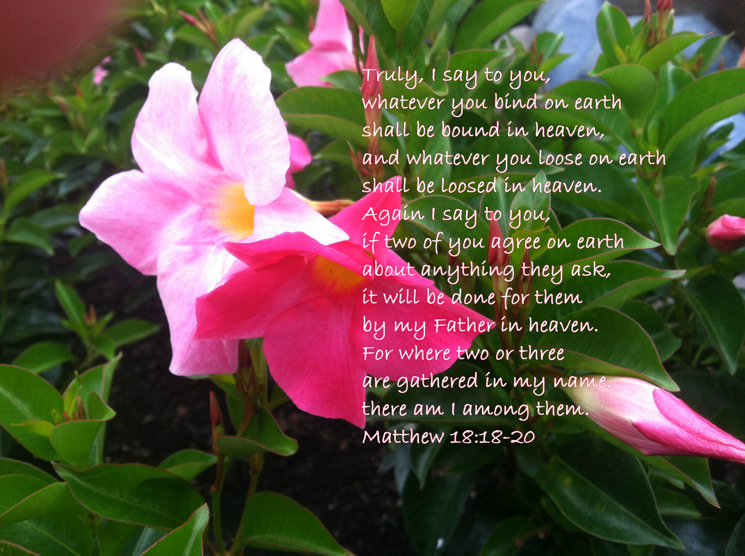 Matthew 18:18-20 On Photo of Light and Dark Pink Flowers Together by Donna Campbell