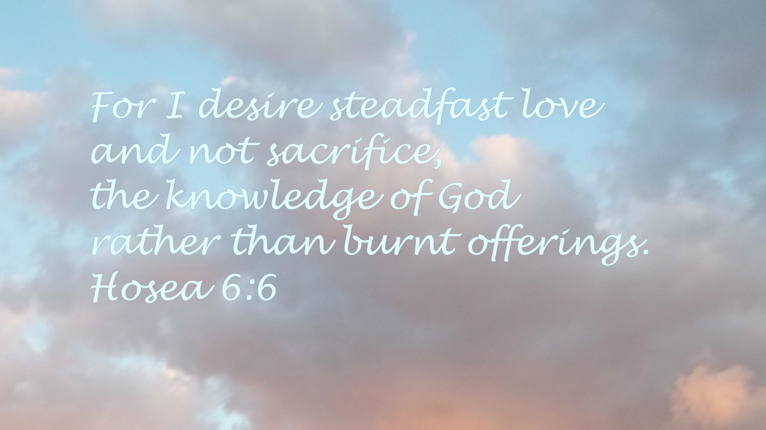 For I desire steadfast love and not sacrifice,     the knowledge of God rather than burnt offerings. Hosea 6:6  on photo of cloudy sky by Donna Campbell