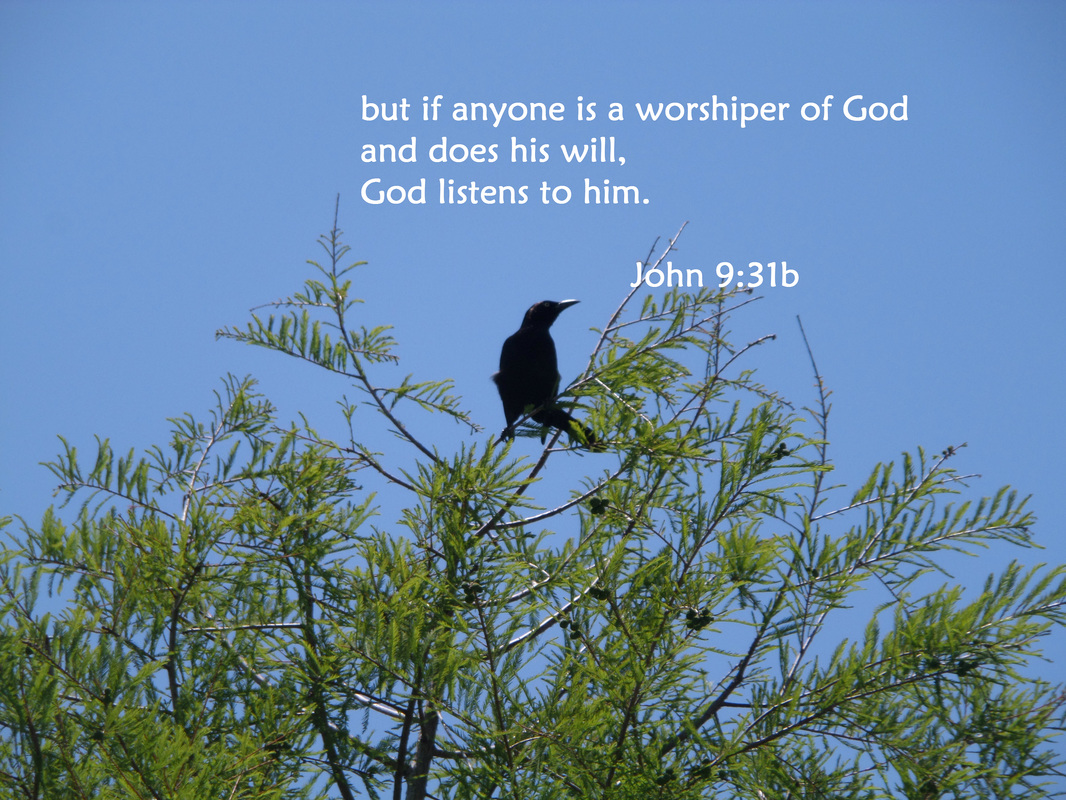 but if anyone is a worshiper of God and does his will, God listens to him. John 9:31b