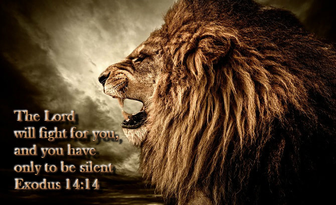 The Lord will fight for you, and you have only to be silent Exodus 14:14