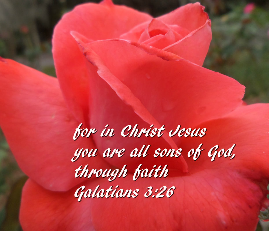  for in Christ Jesus you are all sons of God through faith Galatians 3:26