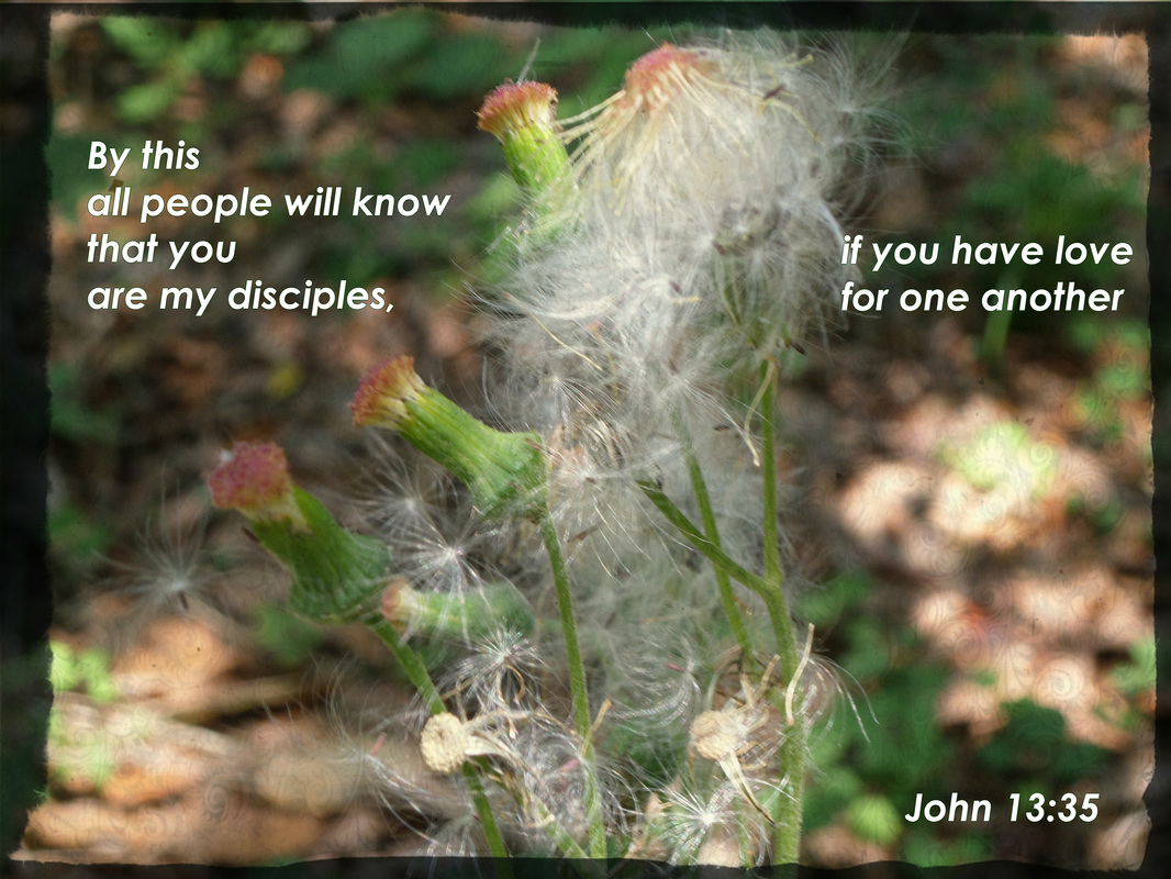 By this all people will know that you are my disciples, if you have love for one another. John 13:35