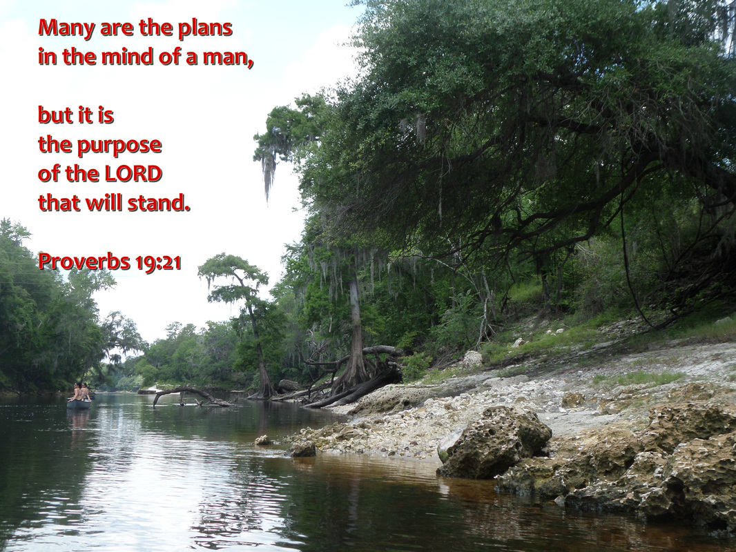 Many are the plans in the mind of a man, but it is the purpose of the Lord that will stand. Proverbs 19:21 on Photo of Canoe on Suwanee River by Donna Campbell