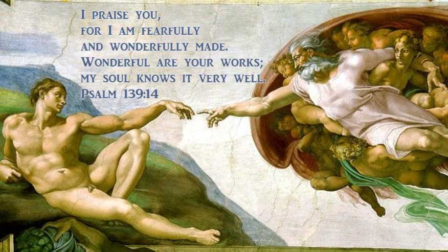 I praise you, for I am fearfully and wonderfully made.  Wonderful are your works; my soul knows it very well. Psalm 139:14 on Michelangelo's Sistine Chapel