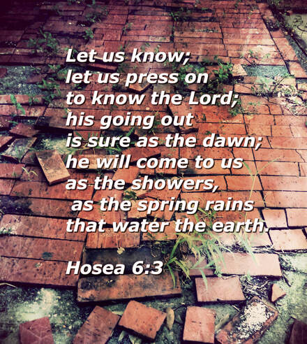 Let us know; let us press on to know the Lord;     his going out is sure as the dawn; he will come to us as the showers,     as the spring rains that water the earth.” Hosea 6:3 on a photo by Donna Campbell