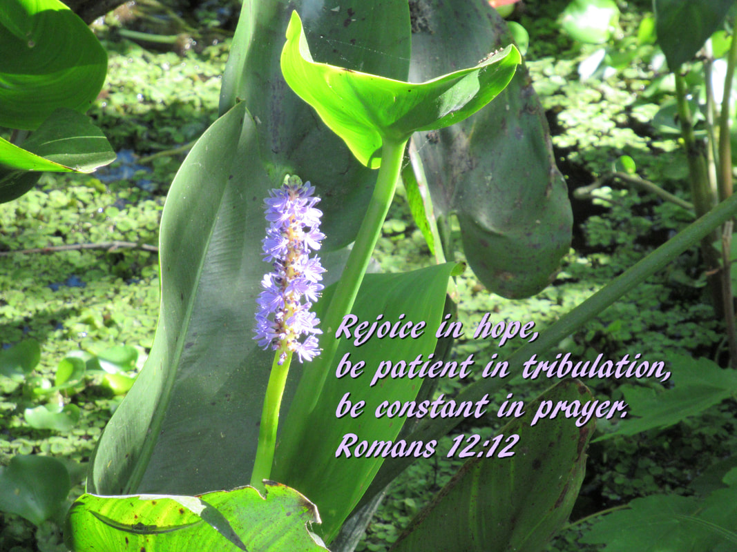  Rejoice in hope, be patient in tribulation, be constant in prayer. Romans 12:12