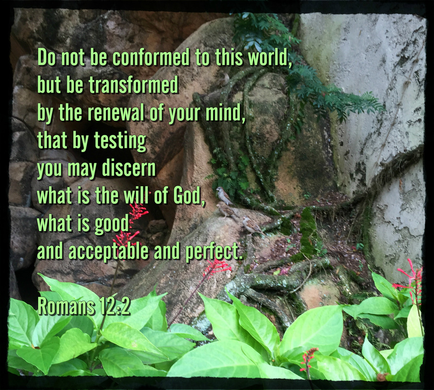 Do not be conformed to this world, but be transformed by the renewal of your mind, that by testing you may discern what is the will of God, what is good and acceptable and perfect. Romans 12:2