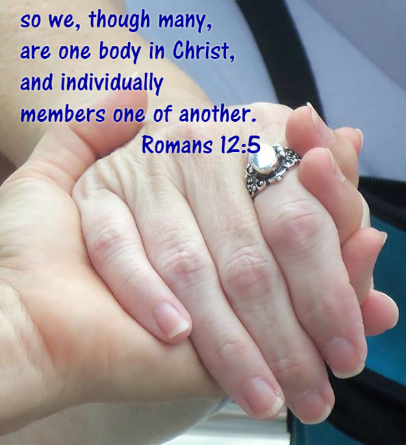 so we, though many, are one body in Christ, and individually members one of another. Romans 12:5