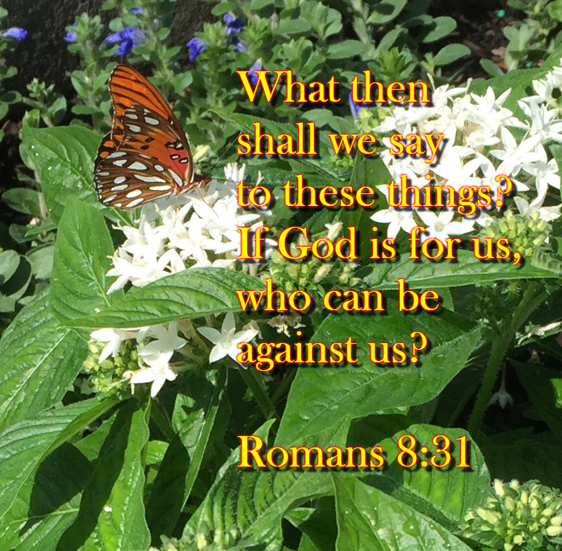 What then shall we say to these things? If God is for us, who can be against us? Romans 8:31